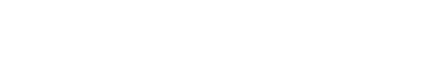 Leadership Institute of Nevada Logo